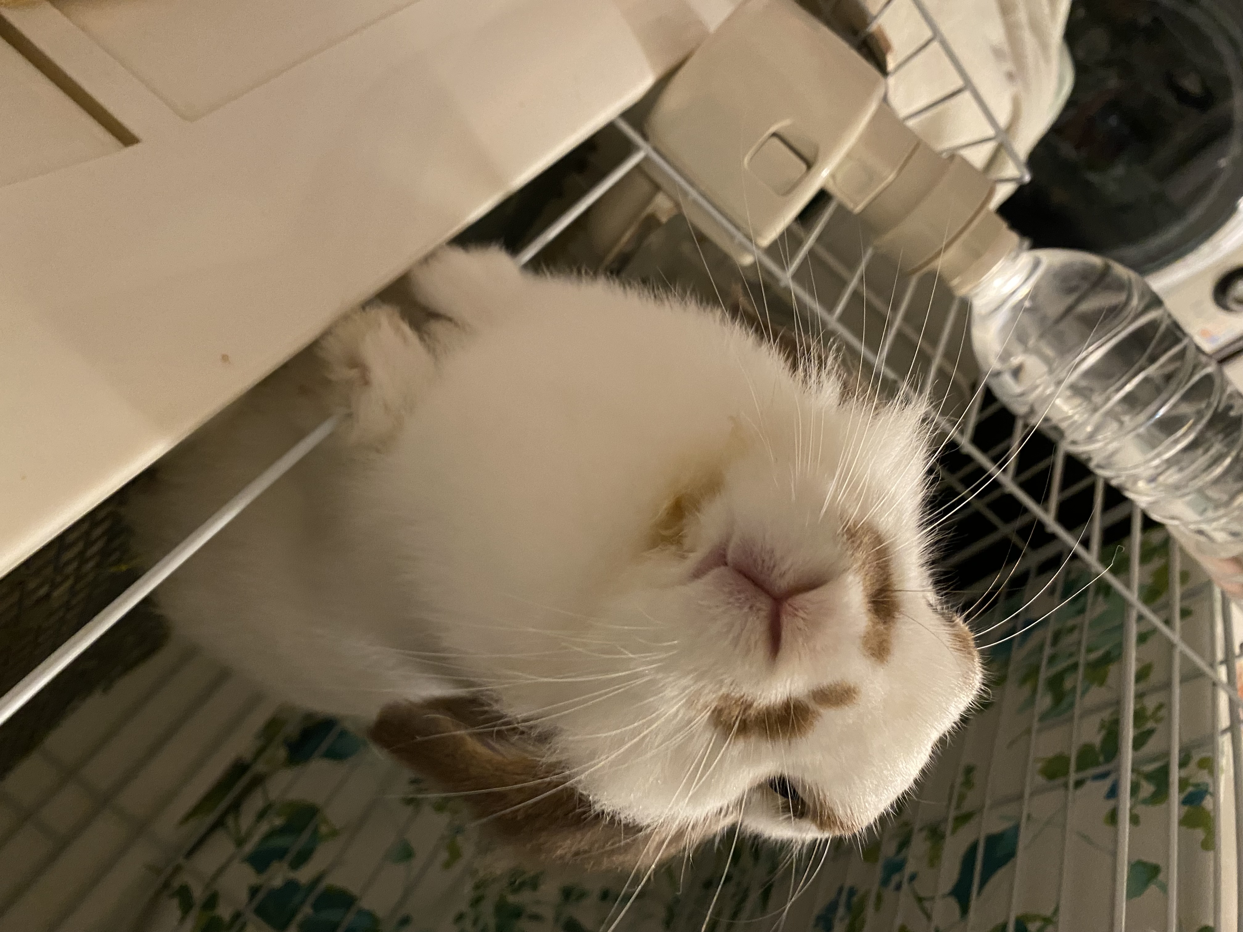 工藤らら